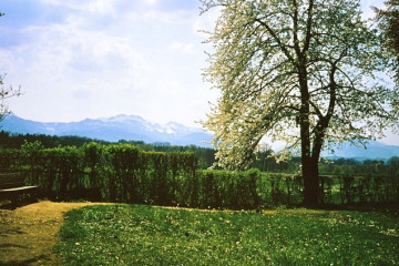 79 Herreninsel im Chiemsee